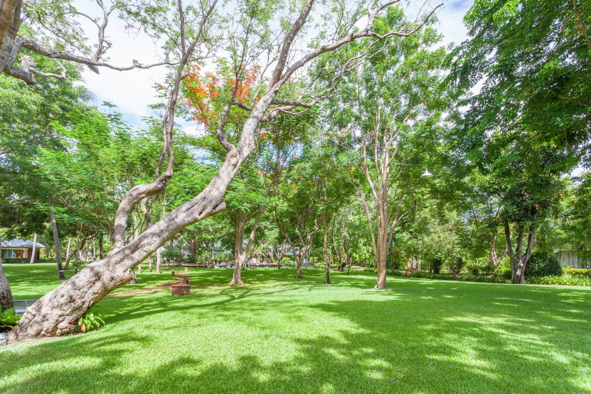 Raya Resort Beach Front - The Most Green Resort In Cha-Am Exterior photo